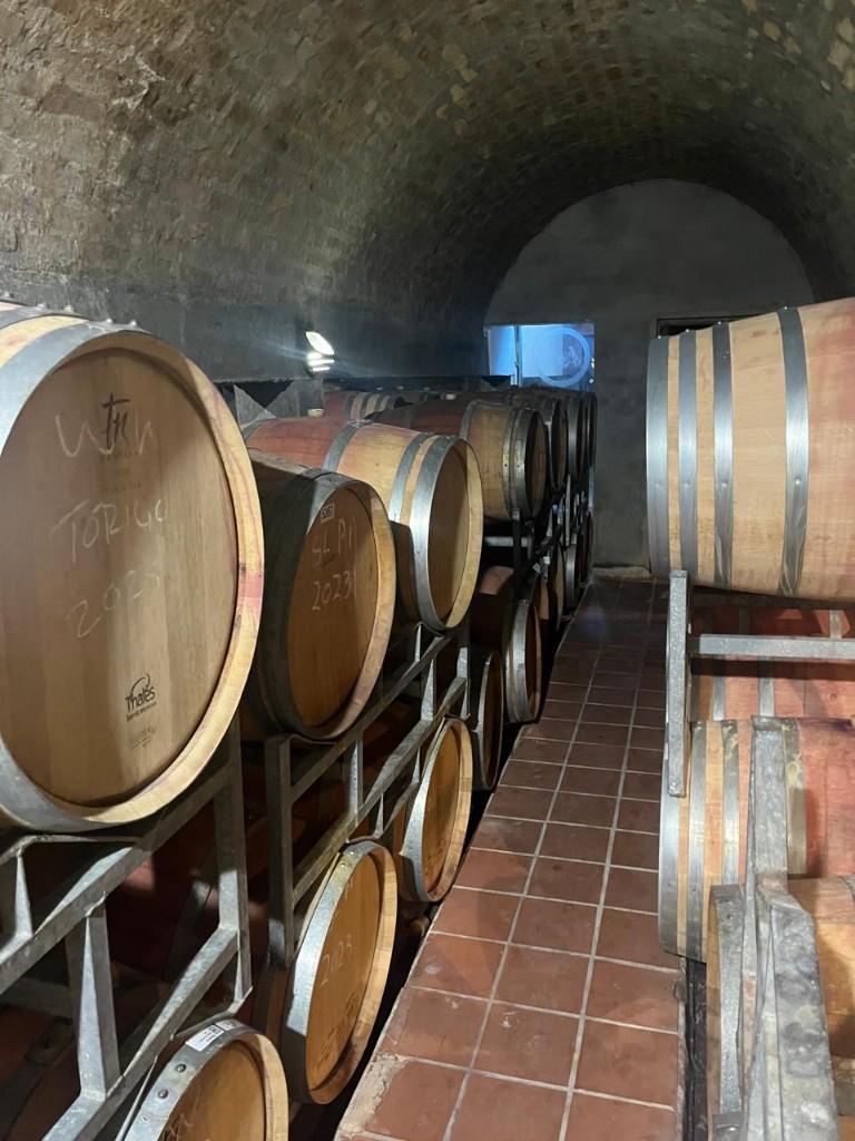Cellar craft at Vintner's Bond